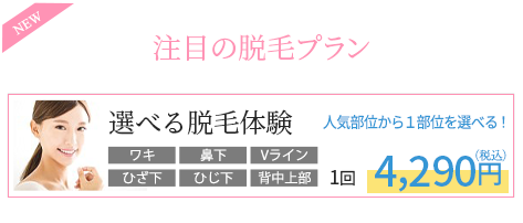 注目の脱毛プラン
