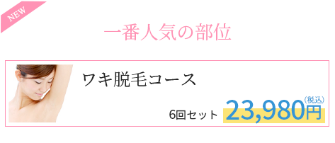 一番人気の部位