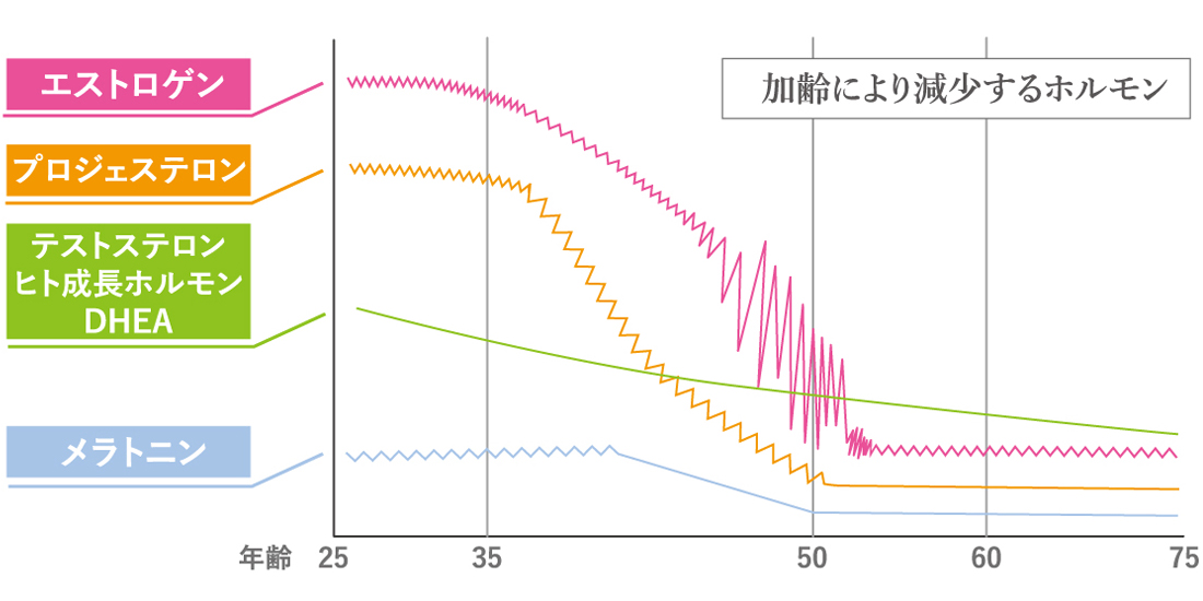 加齢により減少するホルモン