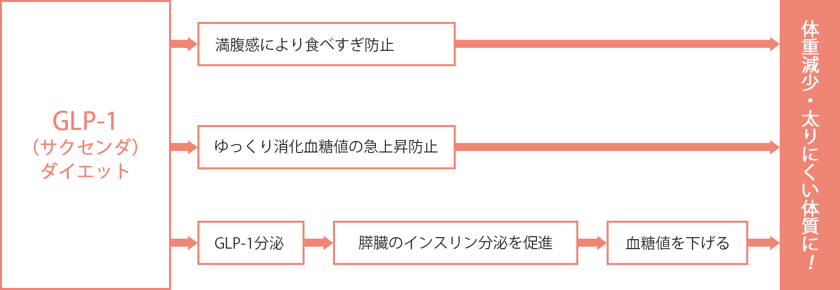 GLP-1（サクセンダ）ダイエットのメカニズム